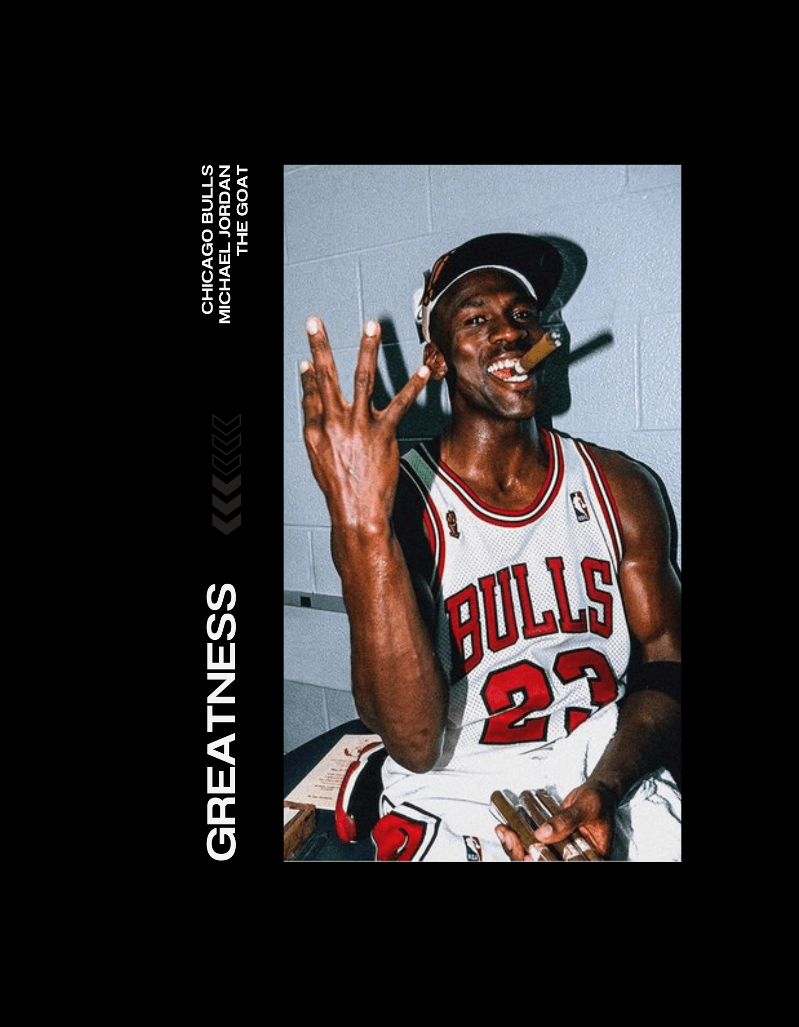 chicago bulls 1st 3 peat