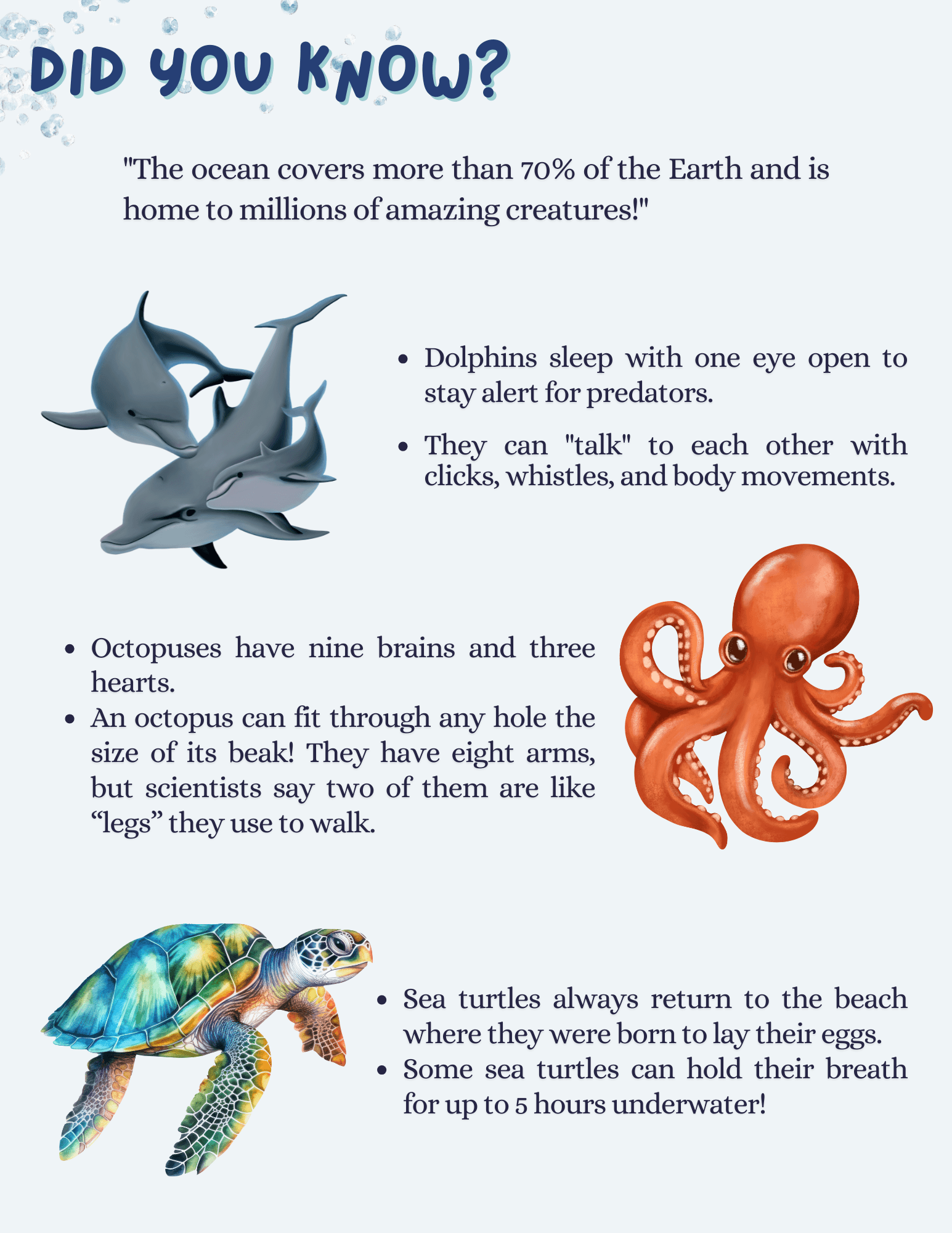 Three Facts About The Ocean For Kids - Infoupdate.org