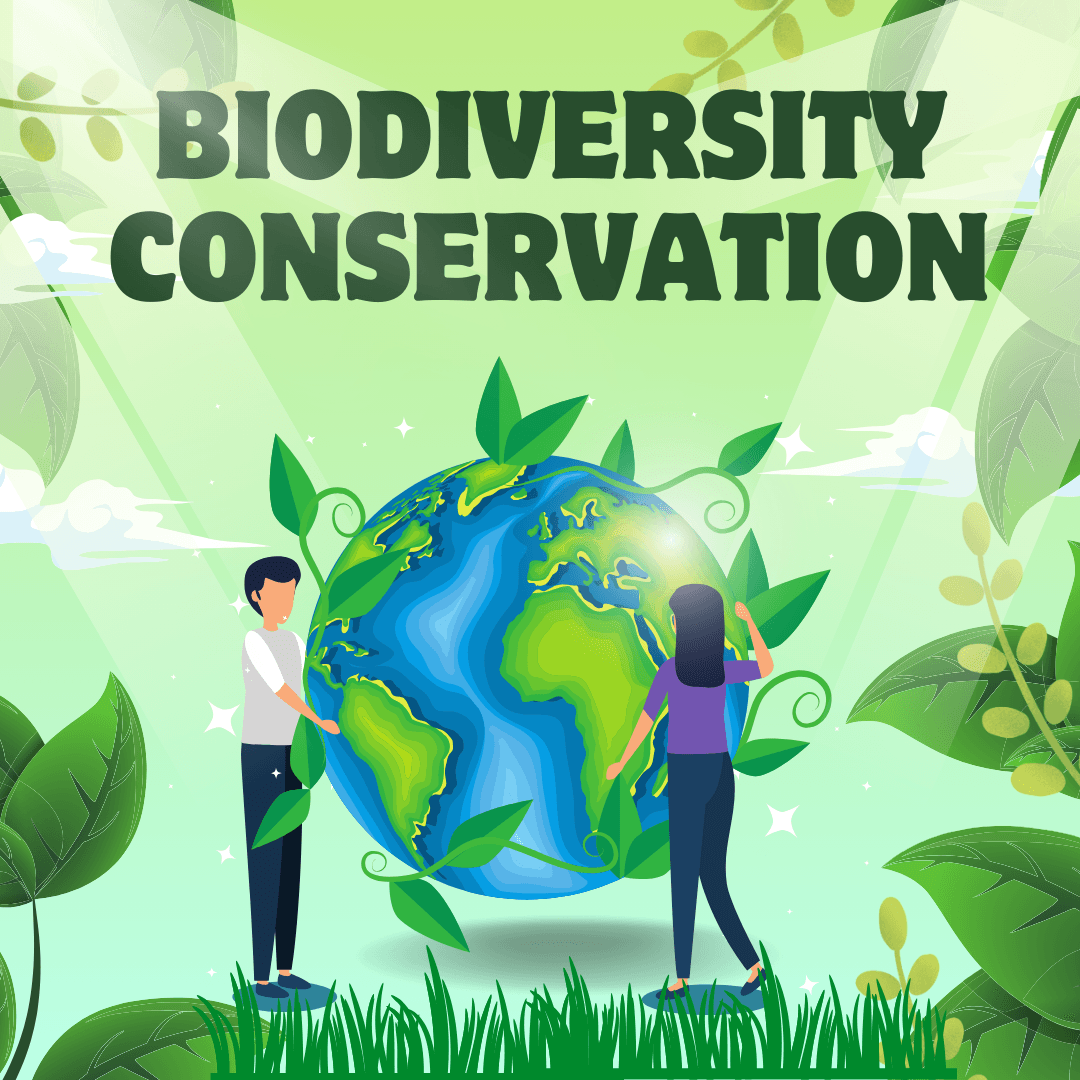 How To Protect Biodiversity Poster