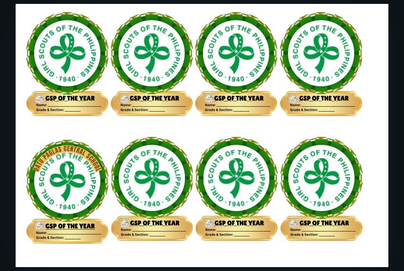Star Scout Ribbon Award
