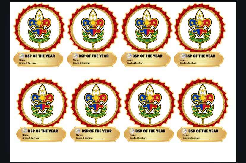 Boy Scout Award Ribbons Boy Scouts Of America Changing Name To More