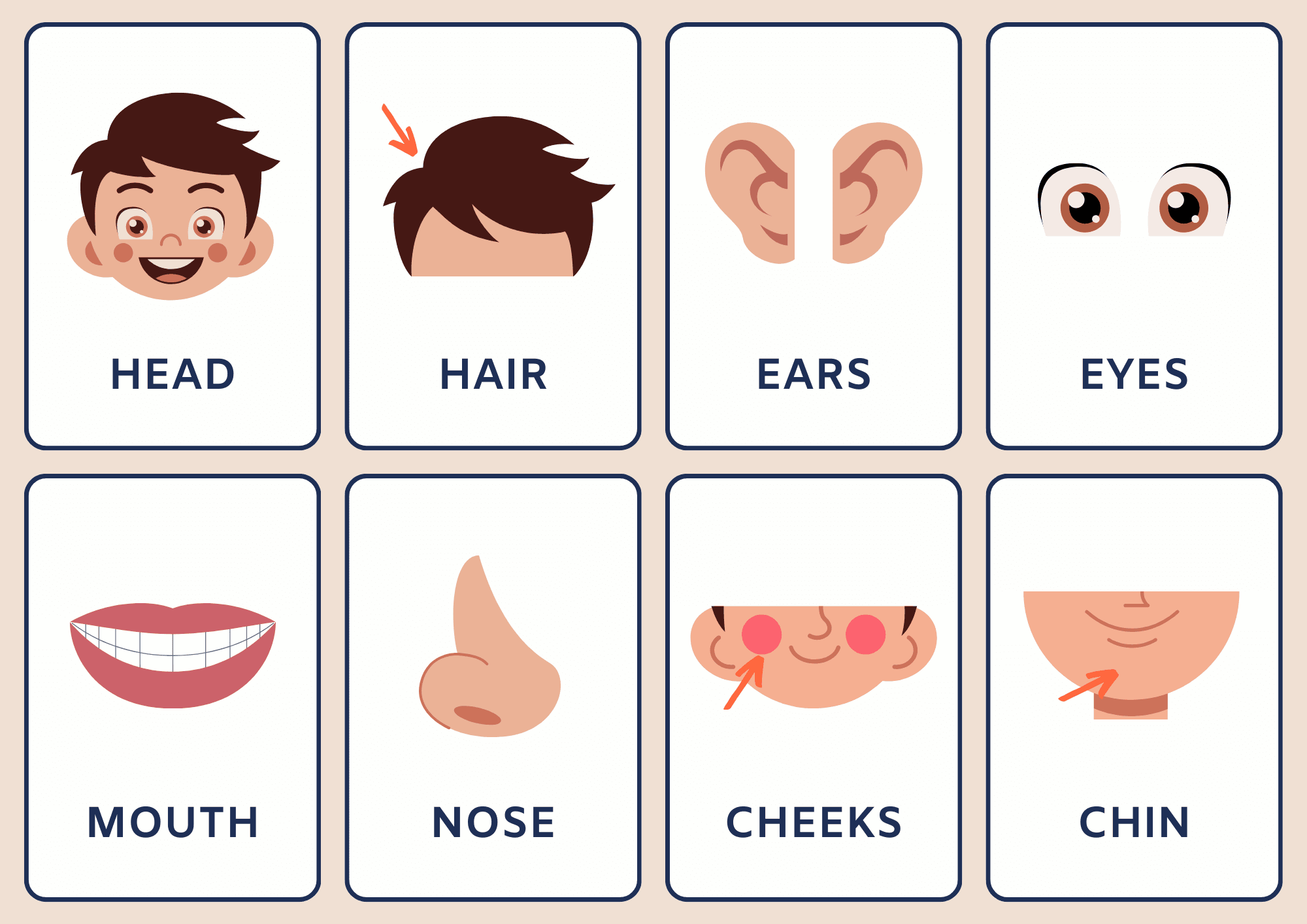 neutral-parts-of-the-body-flashcards-by-princess-macasling-raket-ph