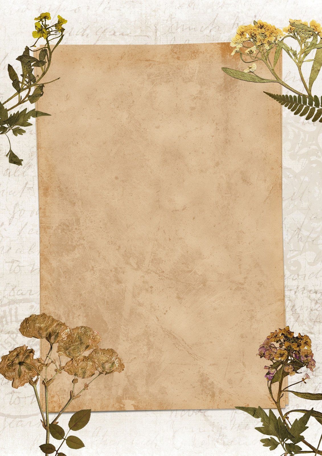 Free paper design templates 20 sheets vintage lined paper with antique  border design, aged paper with design printable paper with design