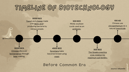 Timeline Template by bey - Raket.PH