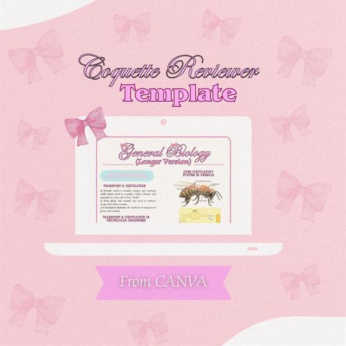 Aesthetic Reviewer Maker for Students by bucadjessamae95 - Raket.PH