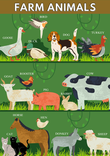Domestic Animals Chart For Kids